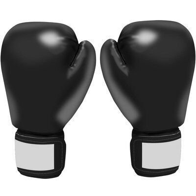 Premium Quality Boxing Gloves for Ultimate Performance