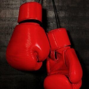 Handcrafted Genuine Leather Boxing Gloves